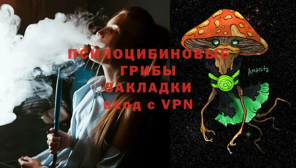 шишки Кулебаки