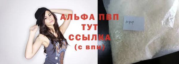 хмурый Дмитровск