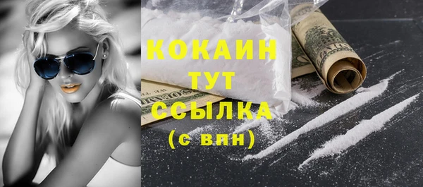 шишки Кулебаки