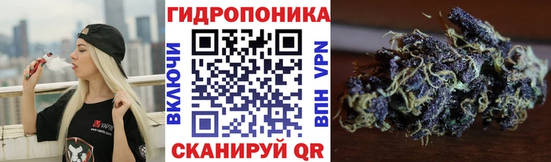 где можно купить наркотик  Юрюзань  Каннабис Ganja 